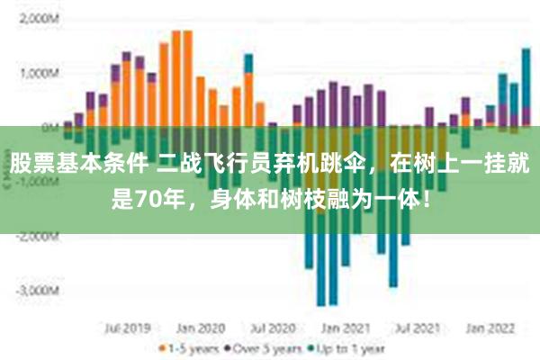 股票基本条件 二战飞行员弃机跳伞，在树上一挂就是70年，身体和树枝融为一体！