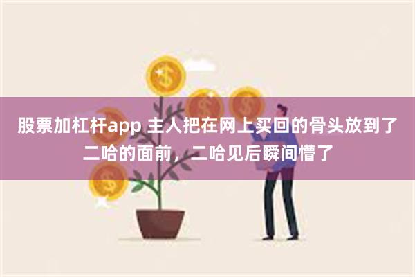 股票加杠杆app 主人把在网上买回的骨头放到了二哈的面前，二哈见后瞬间懵了