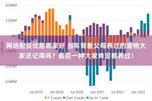 网络配资优惠哪家好 当年背着父母养过的宠物大家还记得吗？最后一种大家肯定都养过！