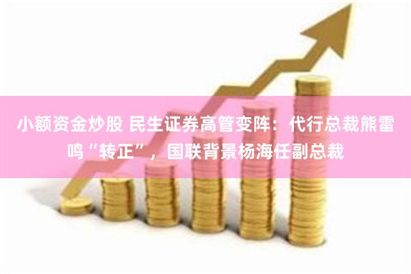小额资金炒股 民生证券高管变阵：代行总裁熊雷鸣“转正”，国联背景杨海任副总裁