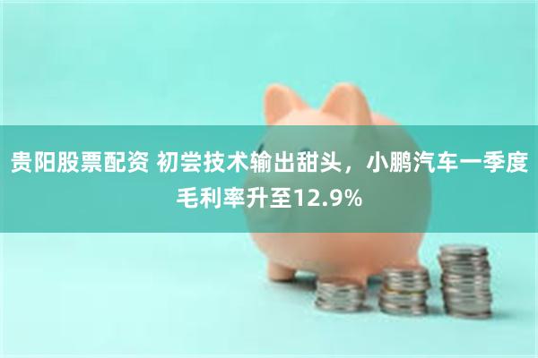 贵阳股票配资 初尝技术输出甜头，小鹏汽车一季度毛利率升至12.9%