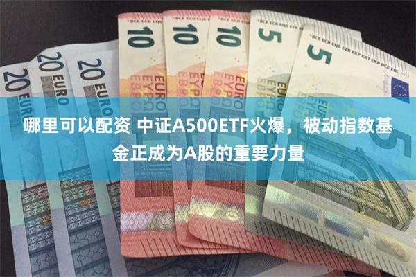 哪里可以配资 中证A500ETF火爆，被动指数基金正成为A股的重要力量
