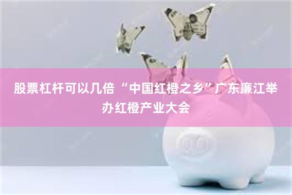 股票杠杆可以几倍 “中国红橙之乡”广东廉江举办红橙产业大会