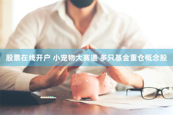 股票在线开户 小宠物大赛道 多只基金重仓概念股