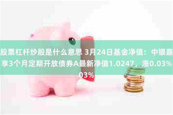 股票杠杆炒股是什么意思 3月24日基金净值：中银嘉享3个月定期开放债券A最新净值1.0247，涨0.03%