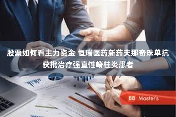 股票如何看主力资金 恒瑞医药新药夫那奇珠单抗获批治疗强直性嵴柱炎患者