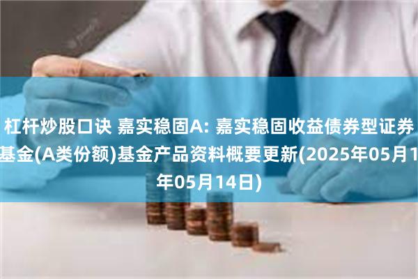 杠杆炒股口诀 嘉实稳固A: 嘉实稳固收益债券型证券投资基金(A类份额)基金产品资料概要更新(2025年05月14日)