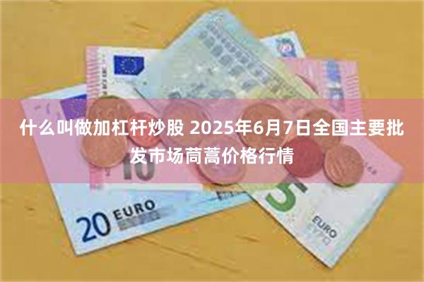 什么叫做加杠杆炒股 2025年6月7日全国主要批发市场茼蒿价格行情