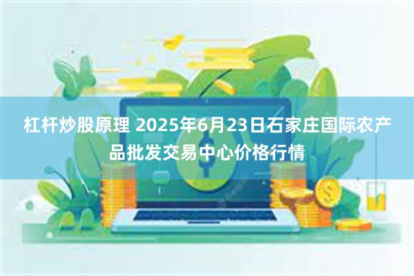 杠杆炒股原理 2025年6月23日石家庄国际农产品批发交易中心价格行情