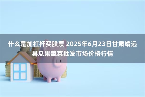 什么是加杠杆买股票 2025年6月23日甘肃靖远县瓜果蔬菜批发市场价格行情