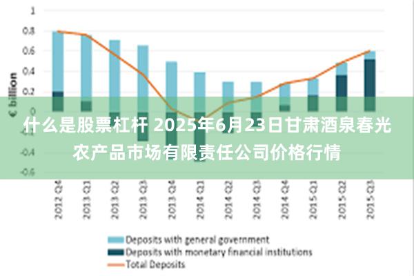 什么是股票杠杆 2025年6月23日甘肃酒泉春光农产品市场有限责任公司价格行情