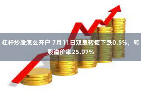 杠杆炒股怎么开户 7月11日双良转债下跌0.5%，转股溢价率25.97%