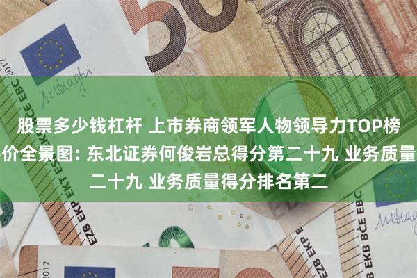 股票多少钱杠杆 上市券商领军人物领导力TOP榜丨行业数据评价全景图: 东北证券何俊岩总得分第二十九 业务质量得分排名第二