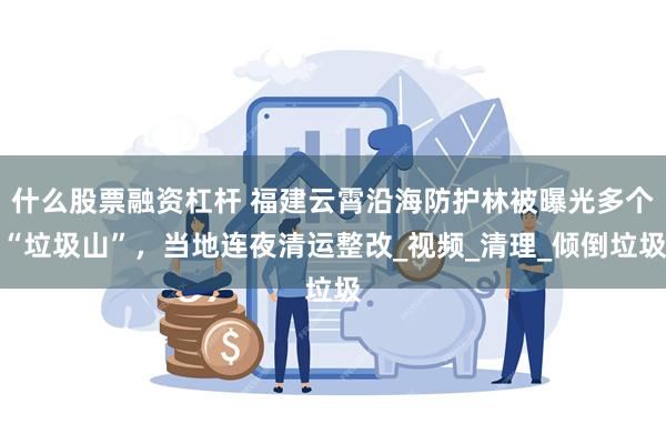 什么股票融资杠杆 福建云霄沿海防护林被曝光多个“垃圾山”，当地连夜清运整改_视频_清理_倾倒垃圾