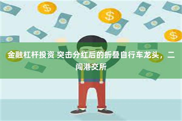 金融杠杆投资 突击分红后的折叠自行车龙头，二闯港交所
