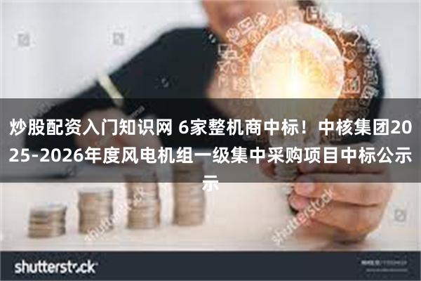 炒股配资入门知识网 6家整机商中标！中核集团2025-2026年度风电机组一级集中采购项目中标公示